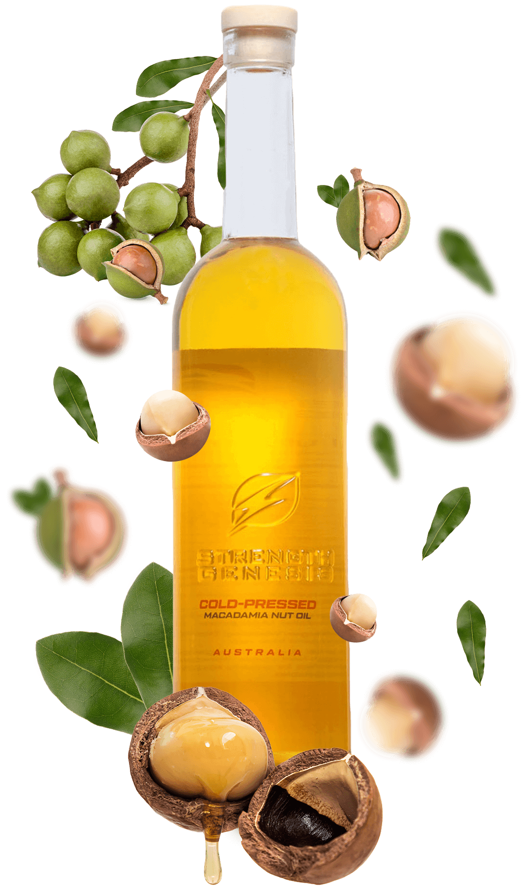 1 MACADAMIA NUT OIL